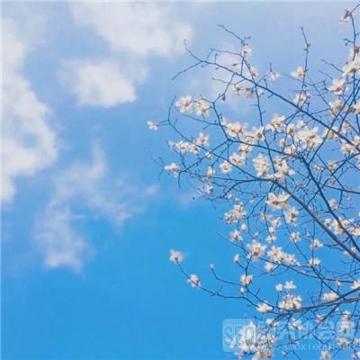 雷竞技下载app官网