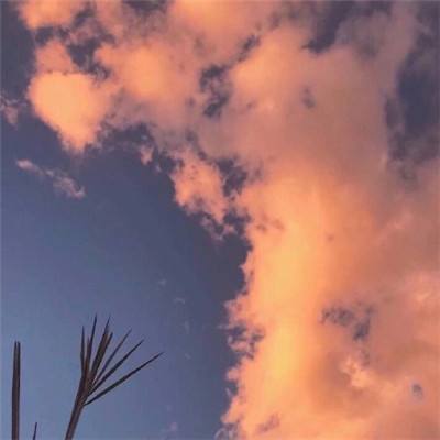 半岛·全站截图